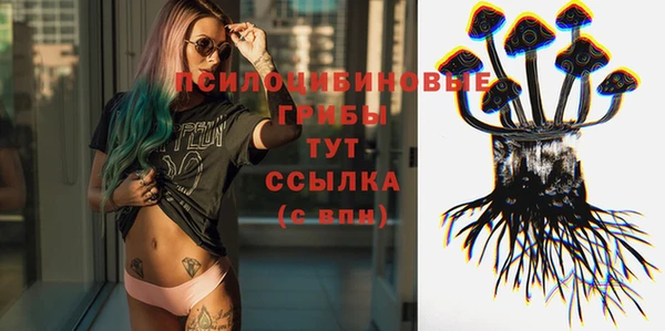 амф Кострома